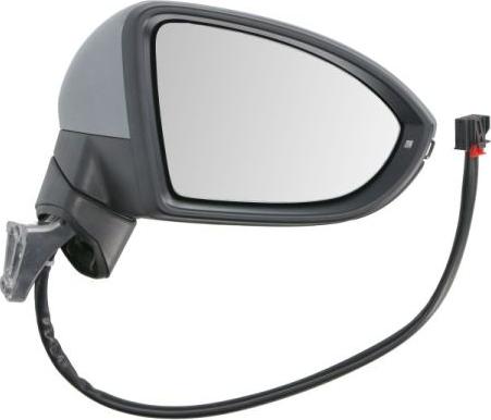 BLIC 5402-01-1617313P - Зовнішнє дзеркало autocars.com.ua