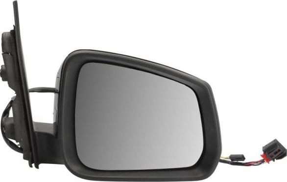 BLIC 5402-01-2381319P - Зовнішнє дзеркало autocars.com.ua