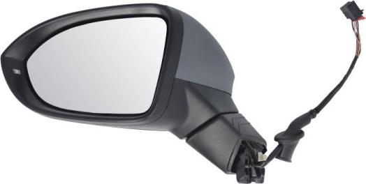 BLIC 5402-01-2526310P - Зовнішнє дзеркало autocars.com.ua