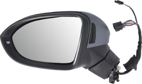 BLIC 5402-01-2526314P - Зовнішнє дзеркало autocars.com.ua