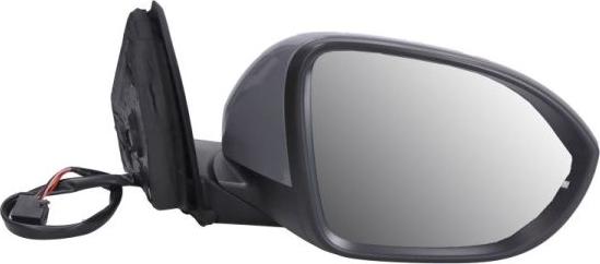 BLIC 5402-01-2542311P - Зовнішнє дзеркало autocars.com.ua