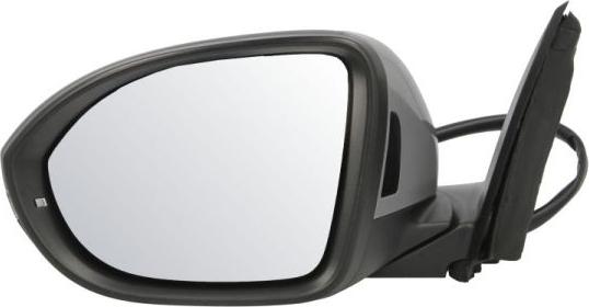 BLIC 5402-01-2542314P - Зовнішнє дзеркало autocars.com.ua