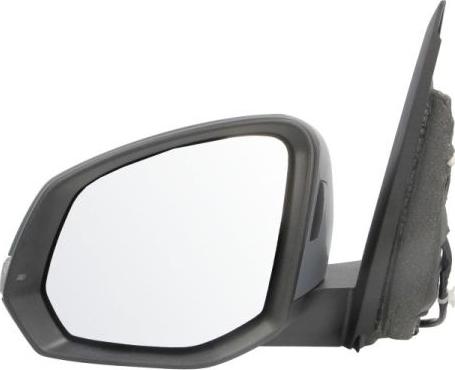 BLIC 5402-01-2583312P - Зовнішнє дзеркало autocars.com.ua