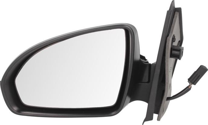 BLIC 5402-02-2002385P - Зовнішнє дзеркало autocars.com.ua