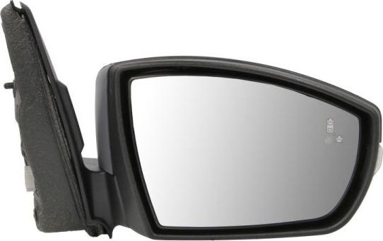 BLIC 5402-03-0399311P - Зовнішнє дзеркало autocars.com.ua