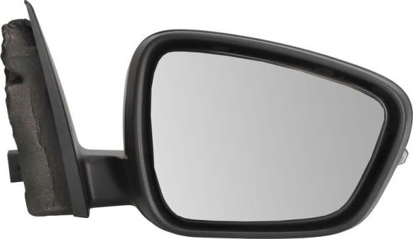 BLIC 5402-03-2273311P - Зовнішнє дзеркало autocars.com.ua
