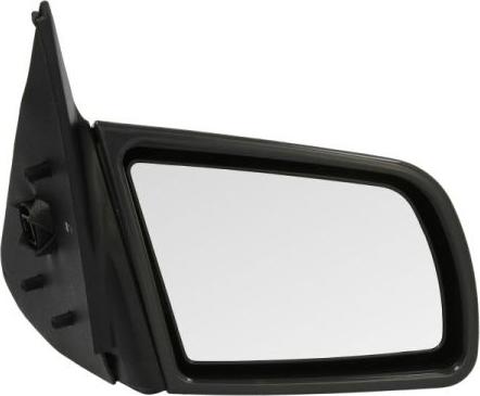 BLIC 5402041121238P - Зовнішнє дзеркало autocars.com.ua