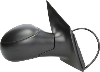 BLIC 5402-04-1128853P - Зовнішнє дзеркало autocars.com.ua