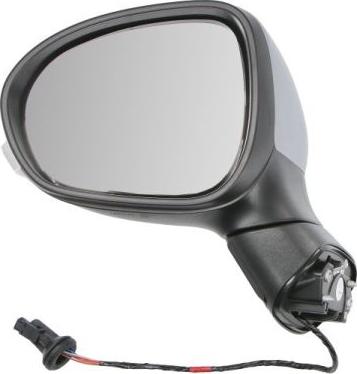 BLIC 5402-07-0302310P - Зовнішнє дзеркало autocars.com.ua