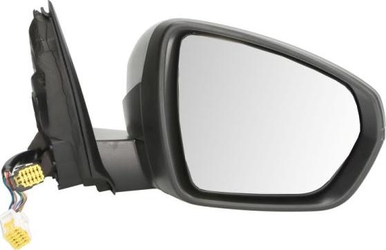 BLIC 5402-08-1117313P - Зовнішнє дзеркало autocars.com.ua