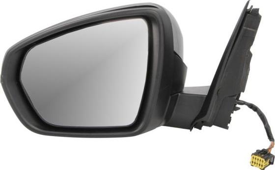 BLIC 5402-08-1117314P - Зовнішнє дзеркало autocars.com.ua