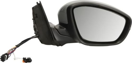 BLIC 5402-08-2262313P - Зовнішнє дзеркало autocars.com.ua