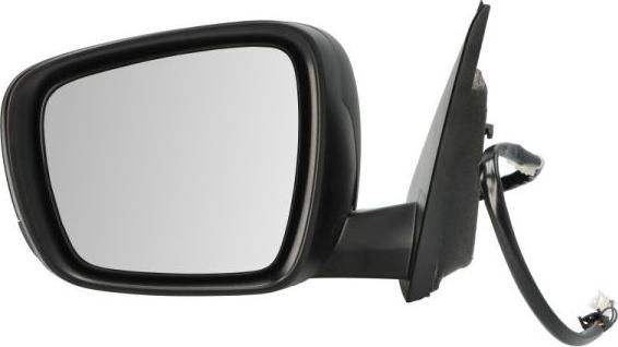 BLIC 5402-09-1208314P - Зовнішнє дзеркало autocars.com.ua