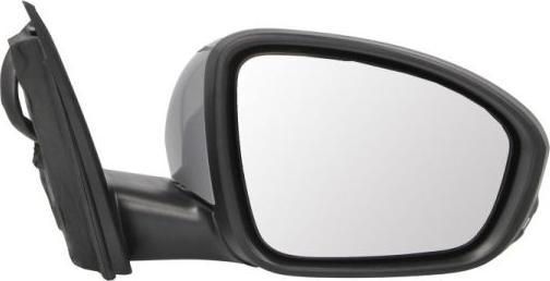 BLIC 5402-09-1231366P - Зовнішнє дзеркало autocars.com.ua