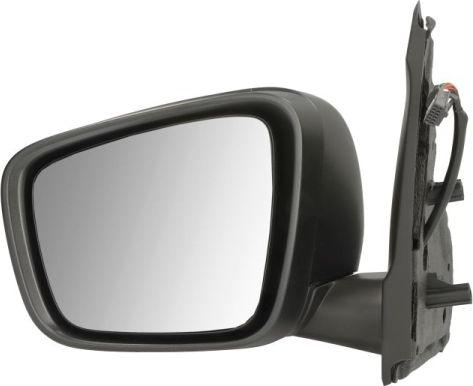 BLIC 5402-09-2434314P - Зовнішнє дзеркало autocars.com.ua