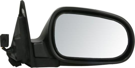 BLIC 5402-12-2002838P - Зовнішнє дзеркало autocars.com.ua