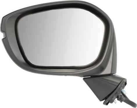 BLIC 5402-12-2501310P - Зовнішнє дзеркало autocars.com.ua