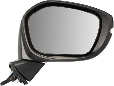 BLIC 5402-12-2501311P - Зовнішнє дзеркало autocars.com.ua