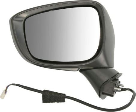 BLIC 5402-14-0770312P - Зовнішнє дзеркало autocars.com.ua