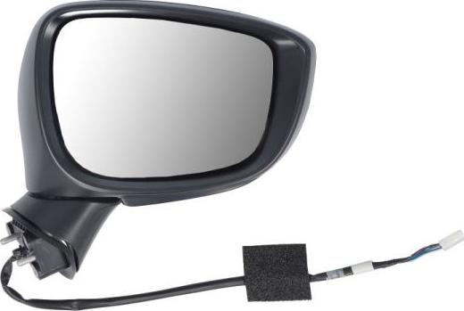 BLIC 5402-14-0770313P - Зовнішнє дзеркало autocars.com.ua