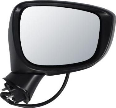 BLIC 5402-14-0770317P - Зовнішнє дзеркало autocars.com.ua