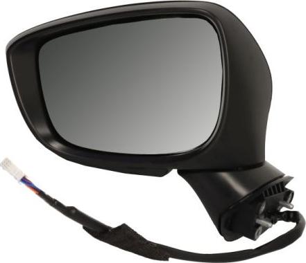 BLIC 5402-14-0770324P - Зовнішнє дзеркало autocars.com.ua