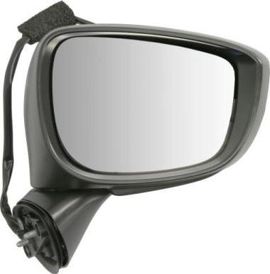 BLIC 5402-14-1905313P - Зовнішнє дзеркало autocars.com.ua