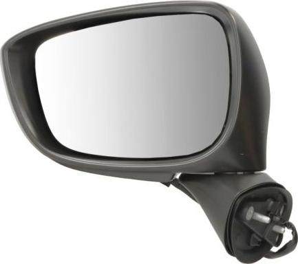 BLIC 5402-14-1905316P - Зовнішнє дзеркало autocars.com.ua