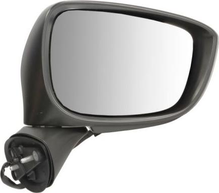 BLIC 5402-14-1905317P - Зовнішнє дзеркало autocars.com.ua