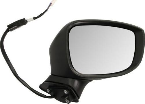 BLIC 5402-14-1906311P - Зовнішнє дзеркало autocars.com.ua