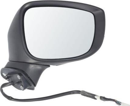 BLIC 5402-14-1906313P - Зовнішнє дзеркало autocars.com.ua