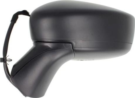 BLIC 5402-16-2001913P - Зовнішнє дзеркало autocars.com.ua