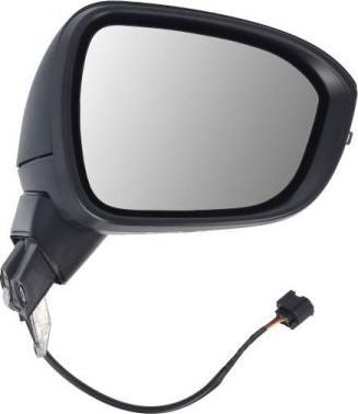 BLIC 5402-16-2384311P - Зовнішнє дзеркало autocars.com.ua