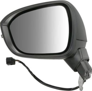 BLIC 5402-16-2384312P - Зовнішнє дзеркало autocars.com.ua