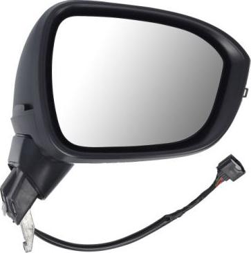 BLIC 5402-16-2384313P - Зовнішнє дзеркало autocars.com.ua