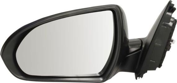 BLIC 5402-20-1966312P - Зовнішнє дзеркало autocars.com.ua