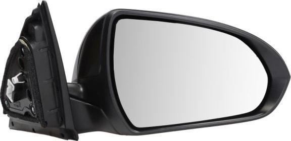 BLIC 5402-20-1966317P - Зовнішнє дзеркало autocars.com.ua