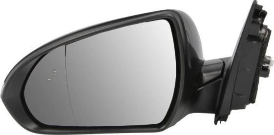 BLIC 5402-20-1966320P - Зовнішнє дзеркало autocars.com.ua