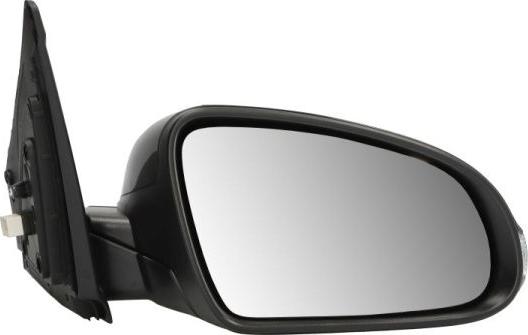 BLIC 5402-20-2238311P - Зовнішнє дзеркало autocars.com.ua