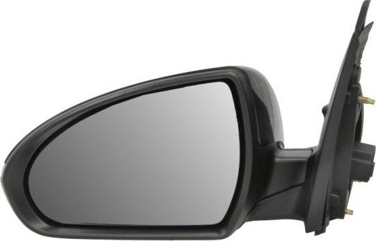 BLIC 5402-20-2239310P - Зовнішнє дзеркало autocars.com.ua