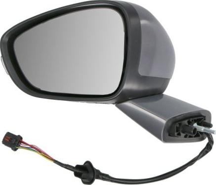 BLIC 5402-21-0209310P - Зовнішнє дзеркало autocars.com.ua