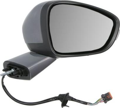 BLIC 5402-21-0209311P - Зовнішнє дзеркало autocars.com.ua