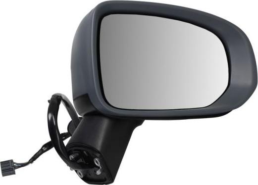 BLIC 5402-24-2025311P - Зовнішнє дзеркало autocars.com.ua