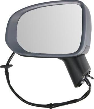 BLIC 5402-24-2025314P - Зовнішнє дзеркало autocars.com.ua