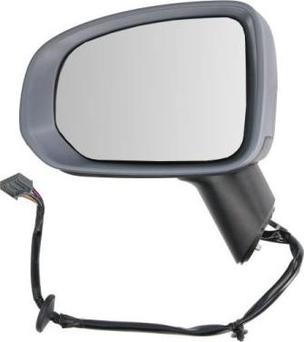 BLIC 5402-24-2025316P - Зовнішнє дзеркало autocars.com.ua