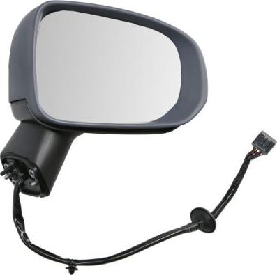 BLIC 5402-24-2025317P - Зовнішнє дзеркало autocars.com.ua