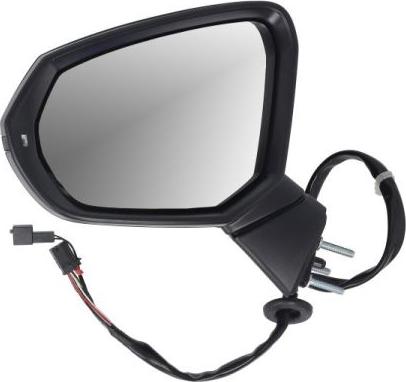 BLIC 5402-25-0067314P - Зовнішнє дзеркало autocars.com.ua