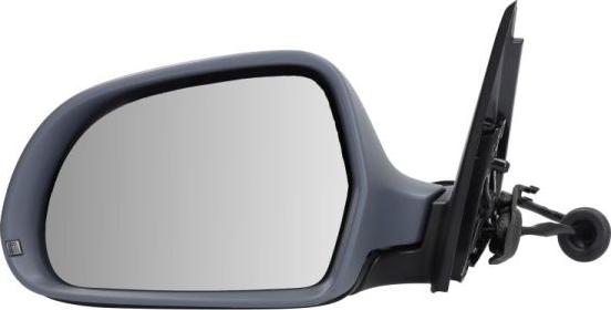 BLIC 5402-25-0068310P - Зовнішнє дзеркало autocars.com.ua