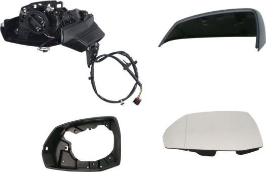 BLIC 5402-25-1875314P - Зовнішнє дзеркало autocars.com.ua