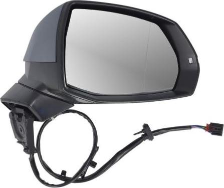 BLIC 5402-25-1875315P - Зовнішнє дзеркало autocars.com.ua